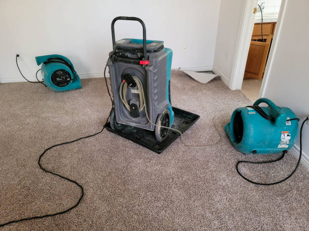 Best Mold removal after water damage  in Chico, CA