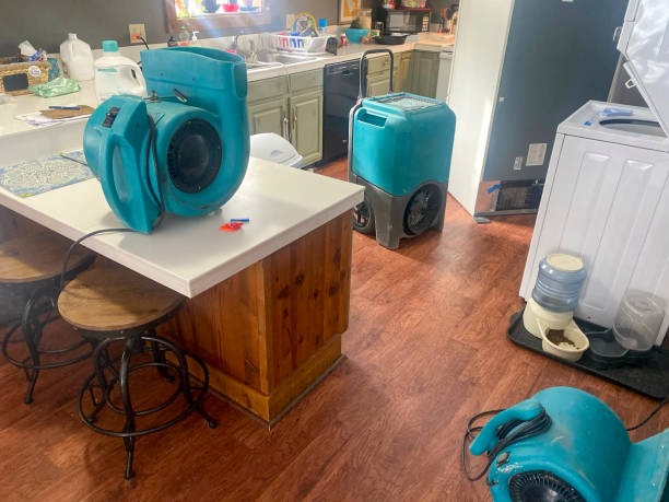 Best 24/7 water damage repair  in Chico, CA