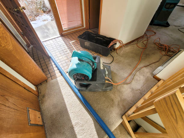 Professional Water damage restoration in Chico, CA