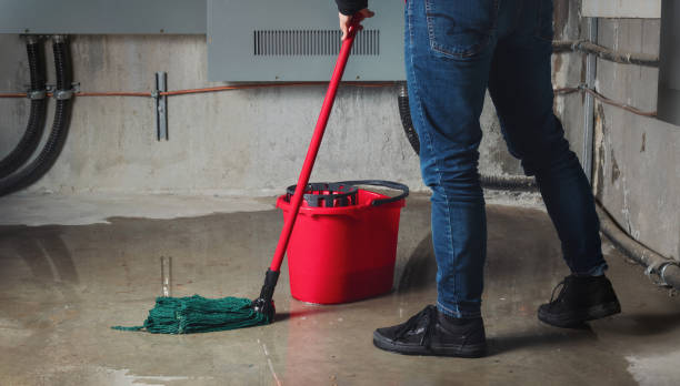 Best Residential water damage restoration  in Chico, CA