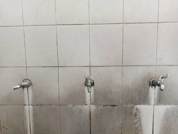 Carpet water damage restoration in Chico, CA