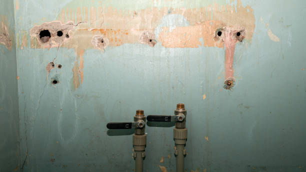 Best Water damage restoration cost  in Chico, CA