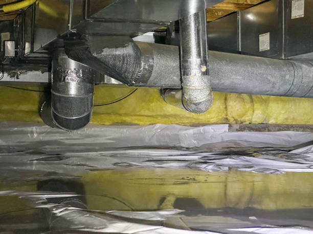 Best Flood damage cleanup  in Chico, CA