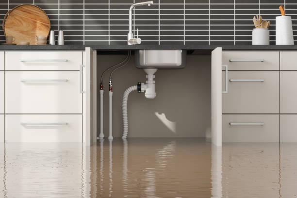 Best Flood restoration services  in Chico, CA
